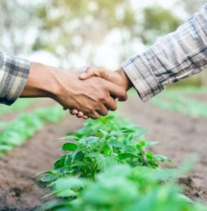 untitled (240 x 238 px)