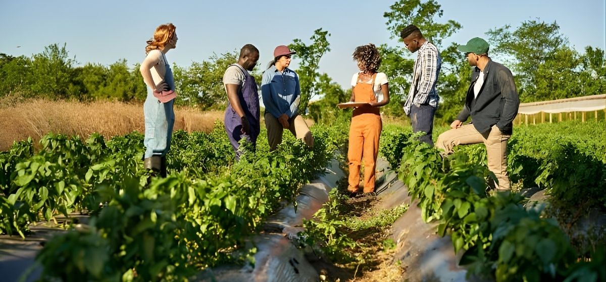 untitled (600 x 347 px) (1)