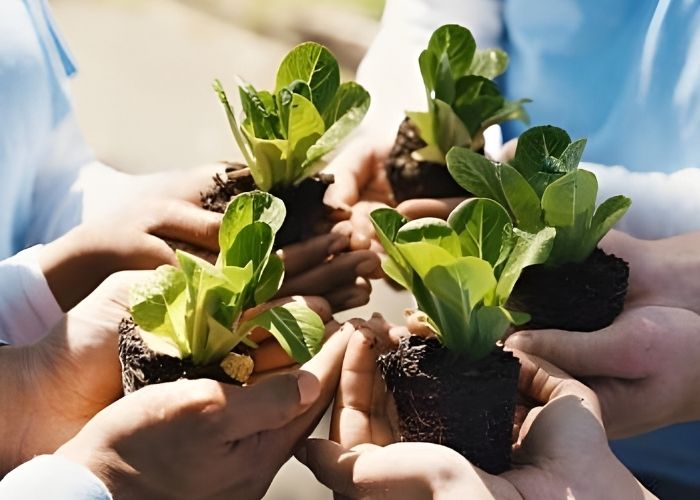 untitled (600 x 347 px) (4)