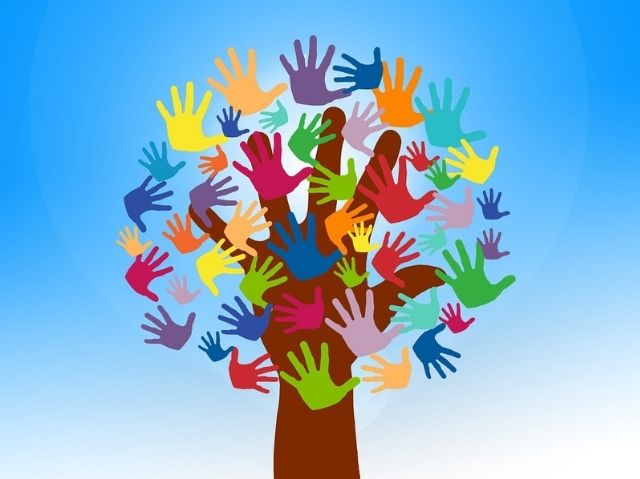 untitled (600 x 347 px) (6)