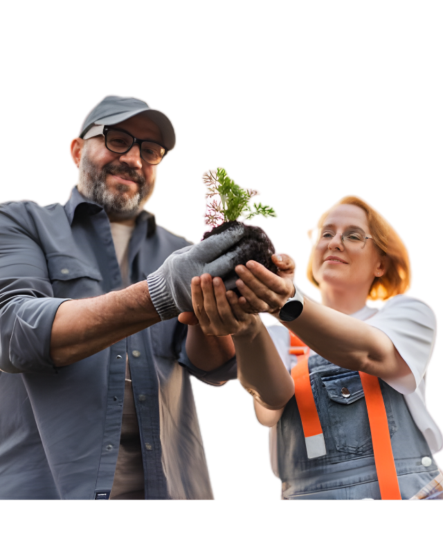 untitled (600 x 347 px)