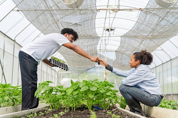 imageye imgi 59 youth groups inspect vegetables in a greenhouse growing and caring for greens a diverse team